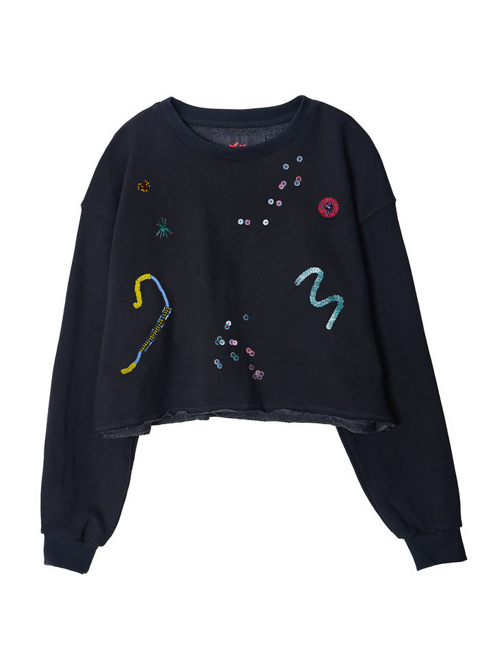 Embroidered Cropped Sweatshirt