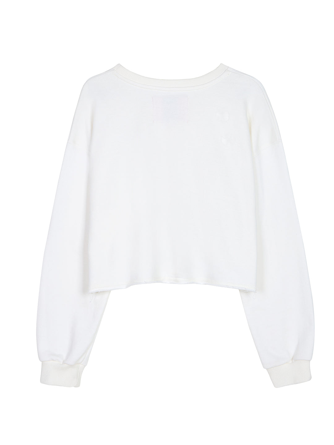 Embellished Cropped Sweatshirt