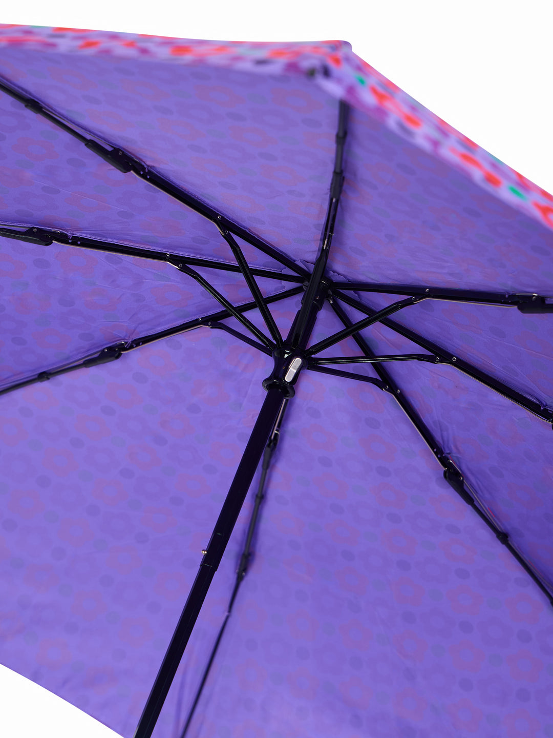 Umbrella