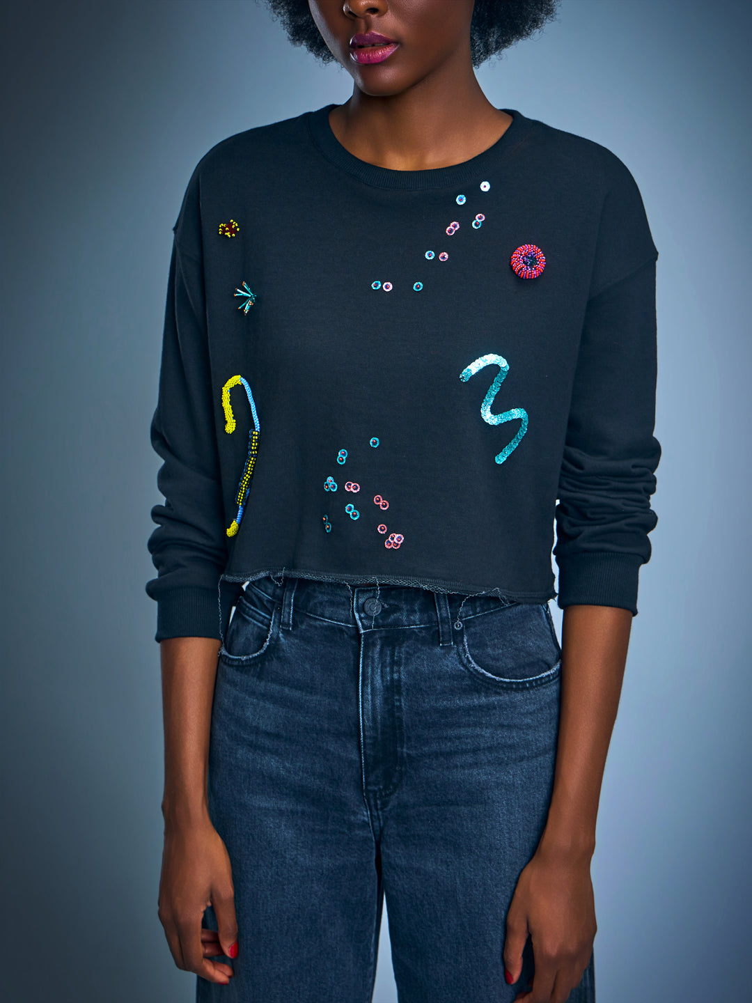 Embroidered Cropped Sweatshirt