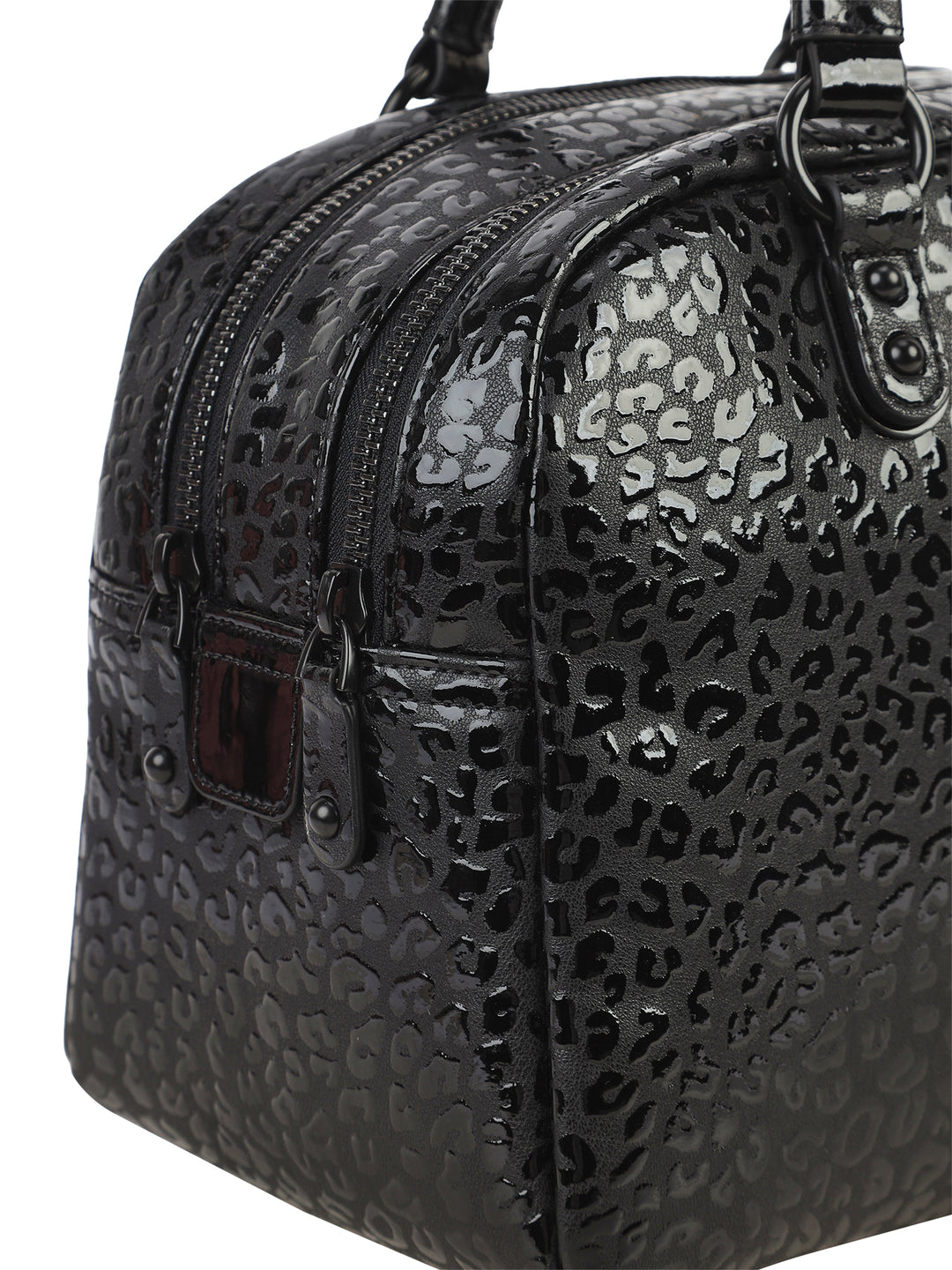 Black Chita #149