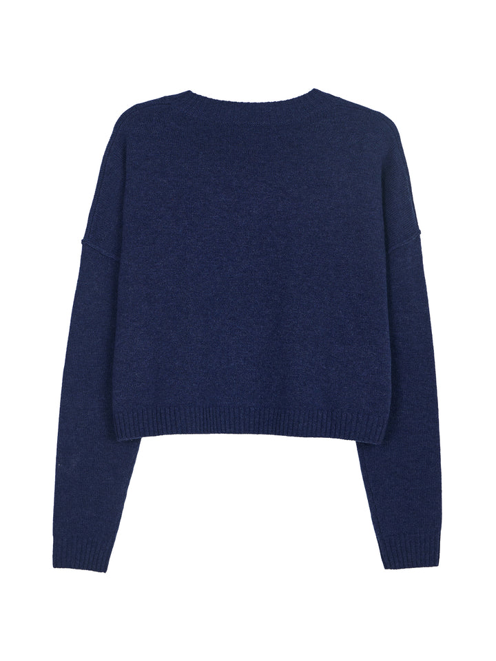 Dancing Kites Cropped Sweater