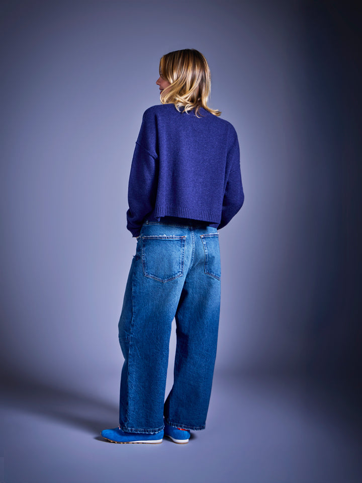Dancing Kites Cropped Sweater