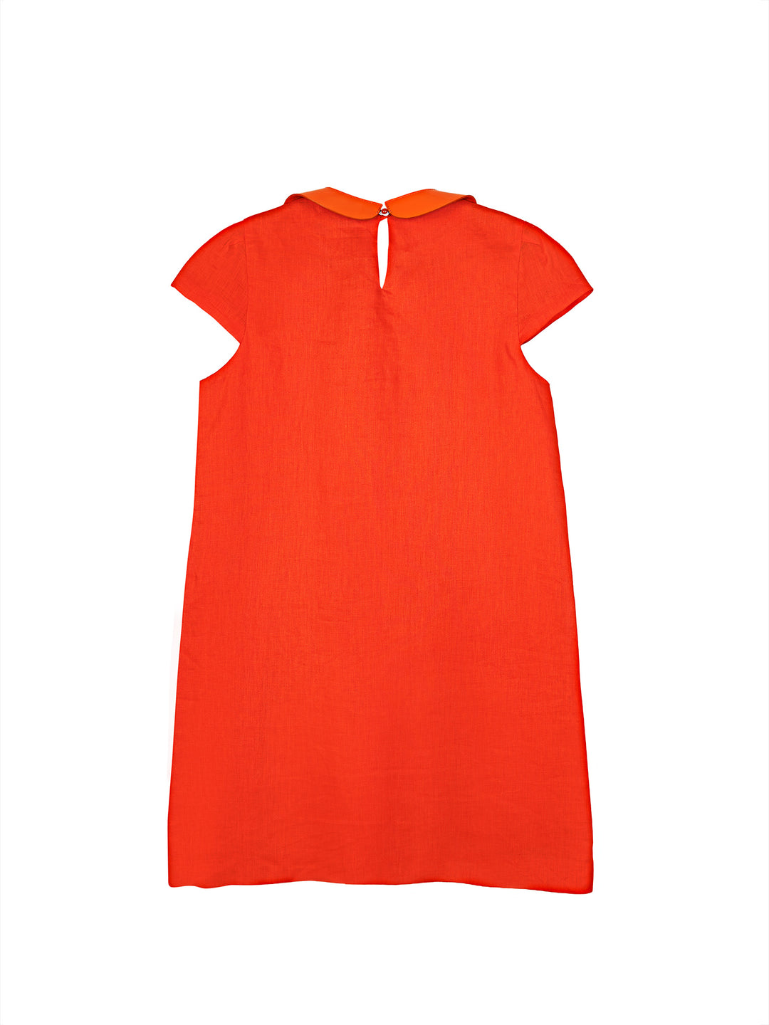 Leather Collar Mini Dress